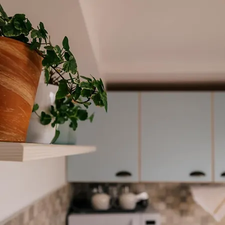 Spacious Near 別荘 *